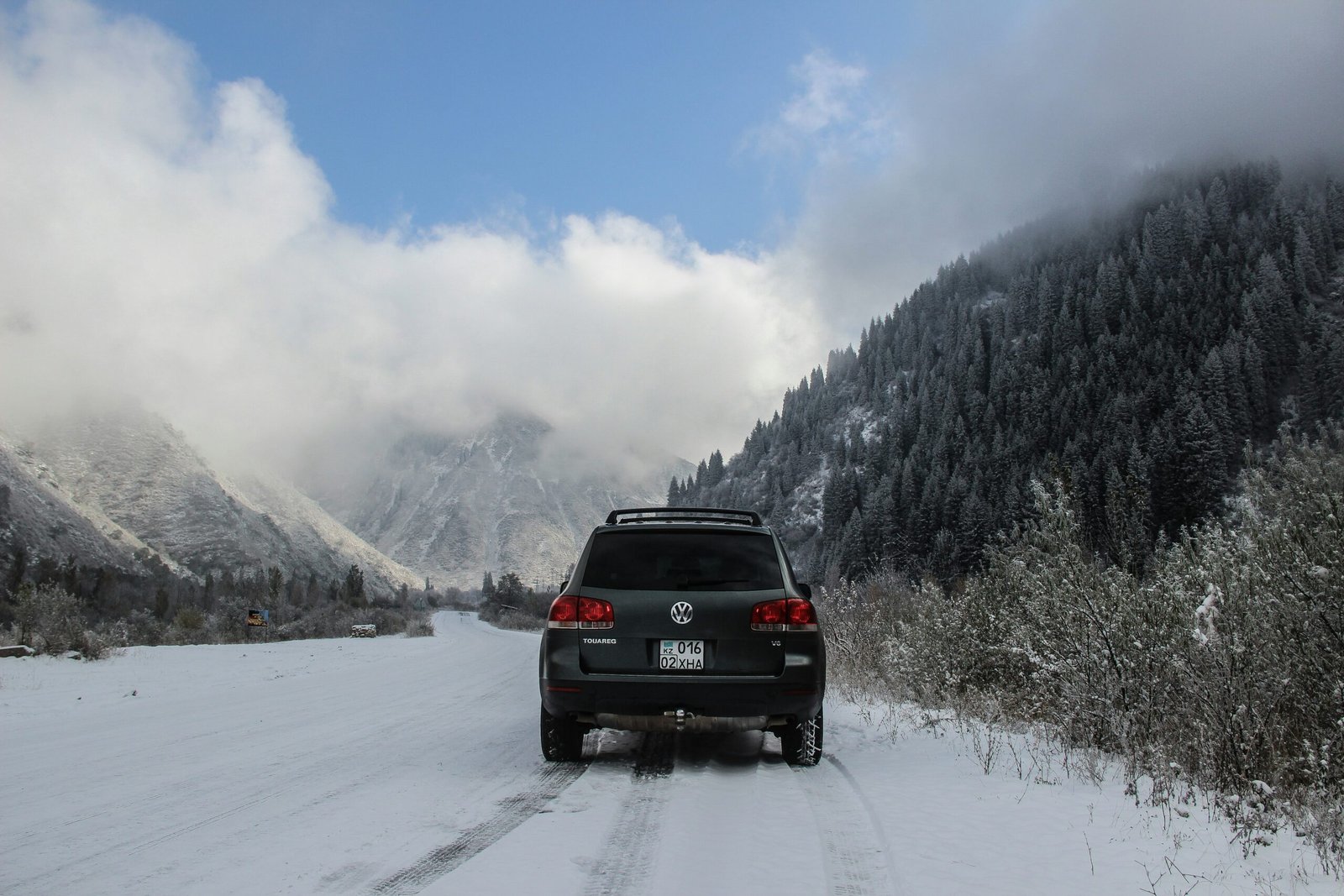 gray SUV beside trees under blue sky